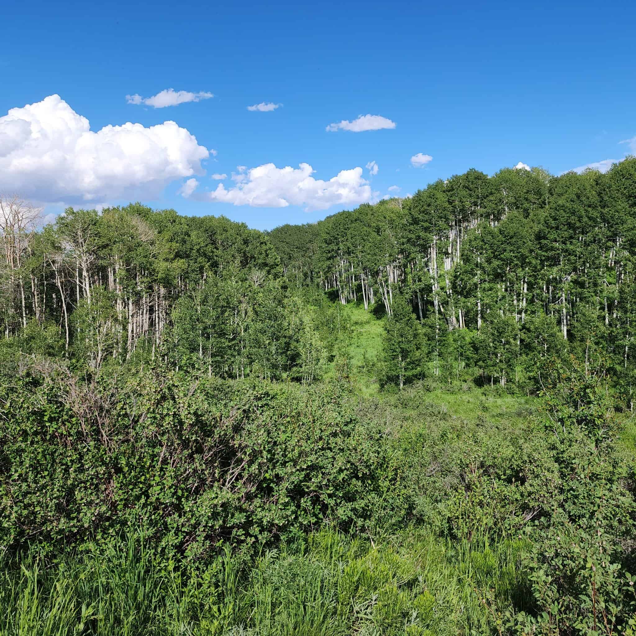 Colorado Hunting and Recreation Acreage