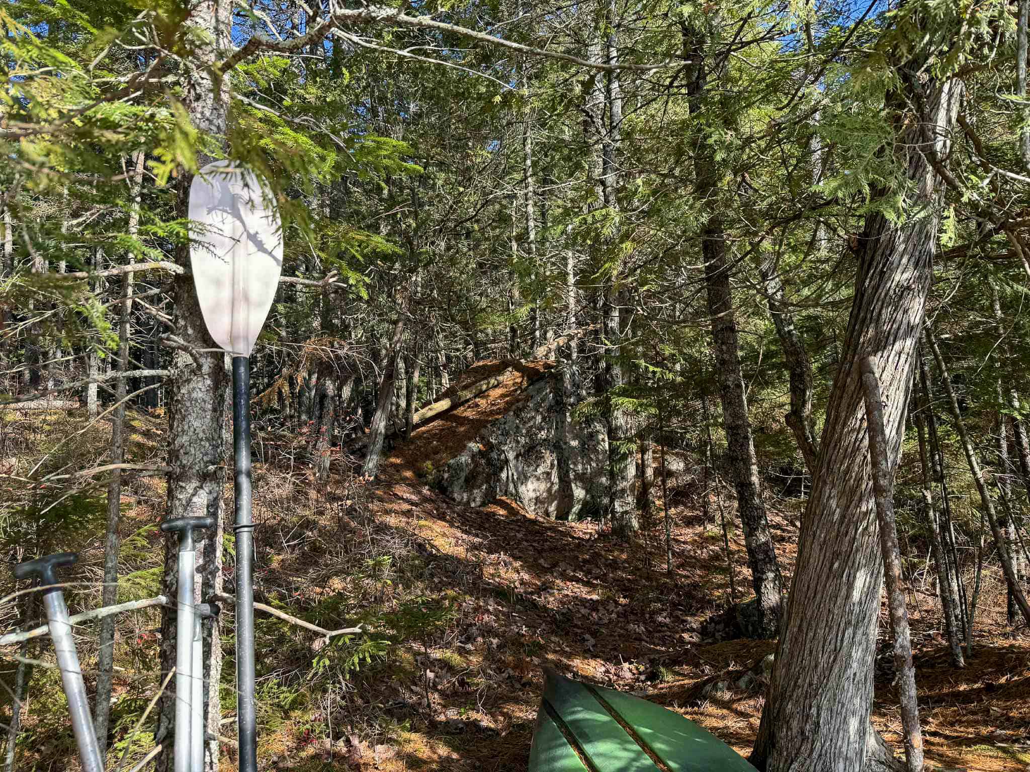 41 Acres with 1330 Ft on Long Lake – Northfield, ME