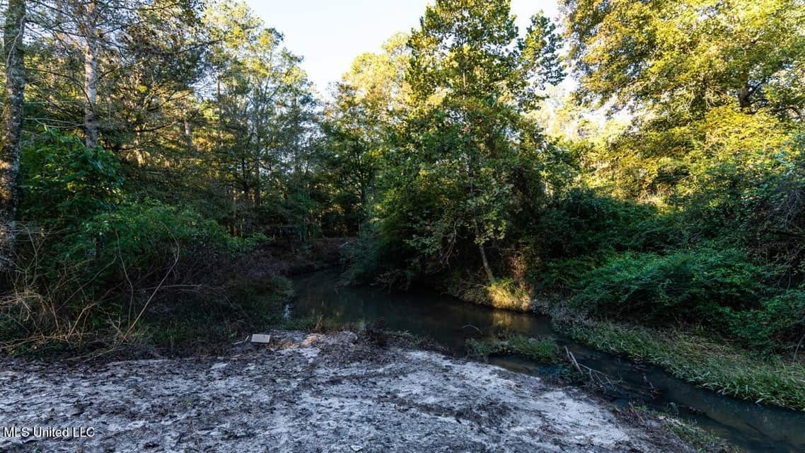 233-Acre Paradise on the Tickfaw River, Osyka, Amite County, MS