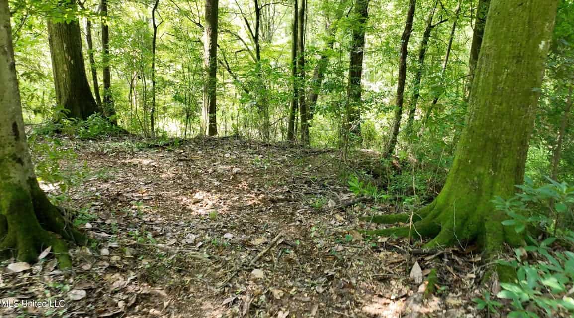 108+- Acres on the Bogue Chitto River Summit, Mississippi