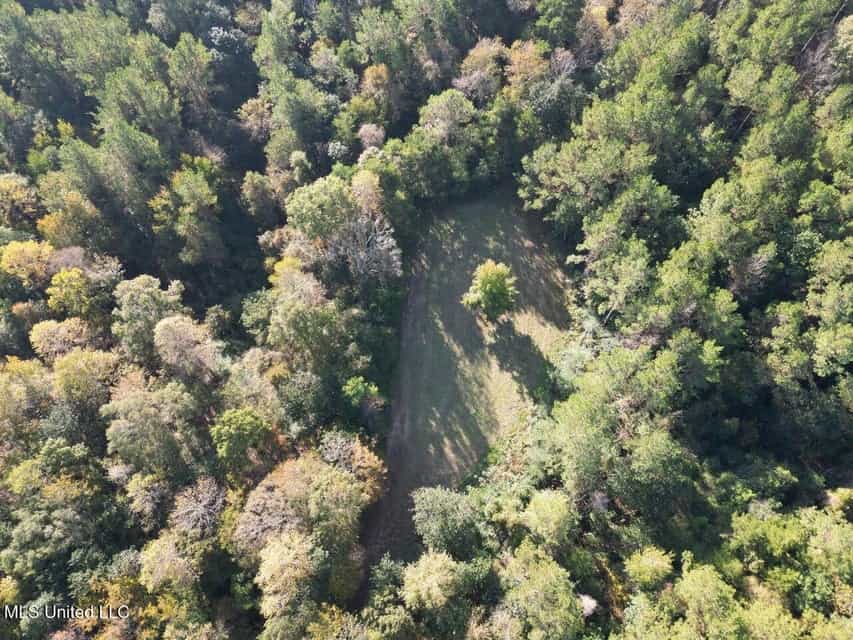 Hunting Land for Sale in Amite County, Mississippi