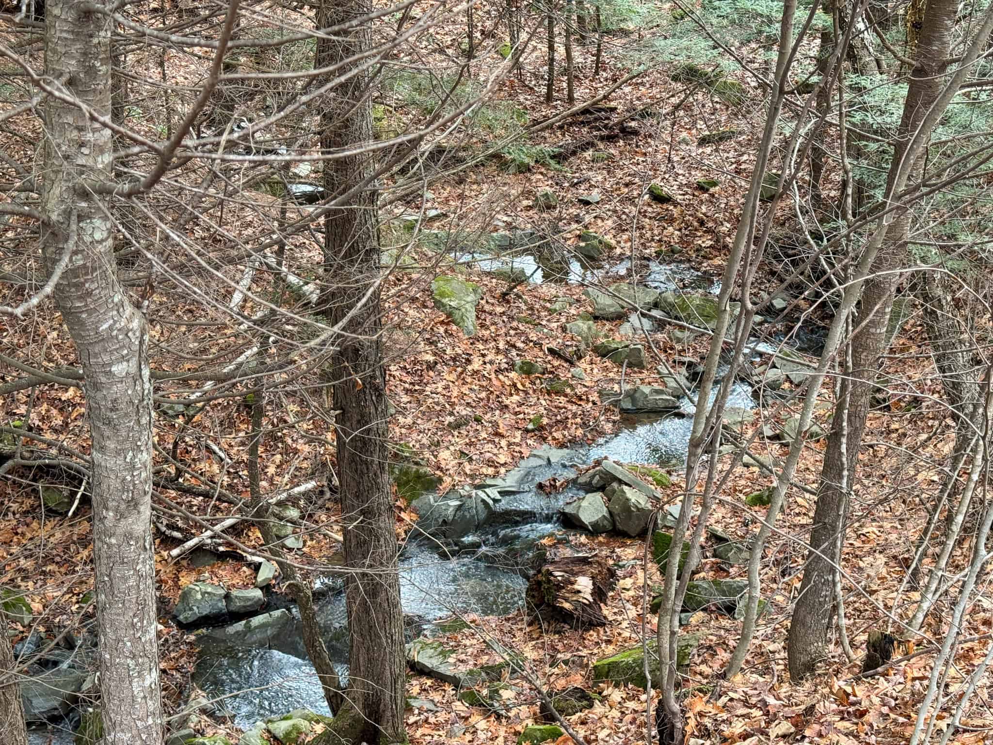 82 Acres with a Mountain View – Strong, Maine