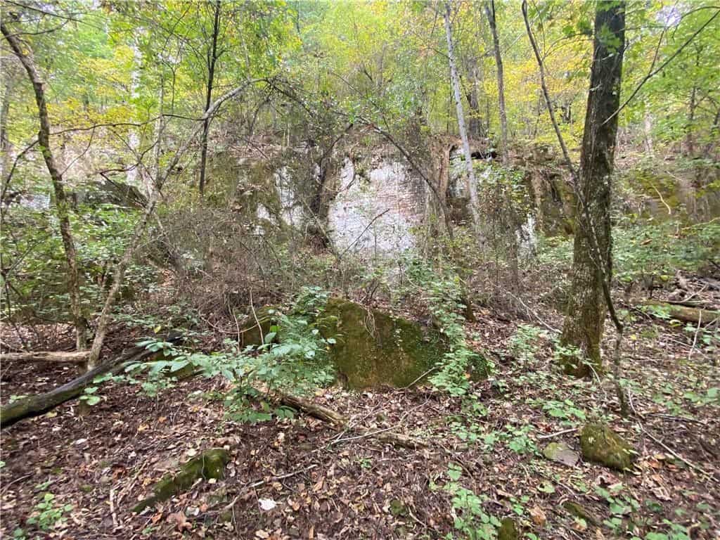 39.75 Newton County Hunting Land/Timber Property For Sale Low Gap
