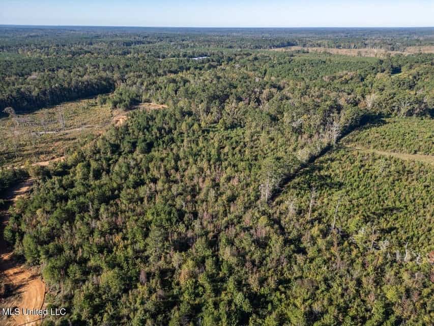 113 Acres of Hunting Land in Liberty, Mississippi