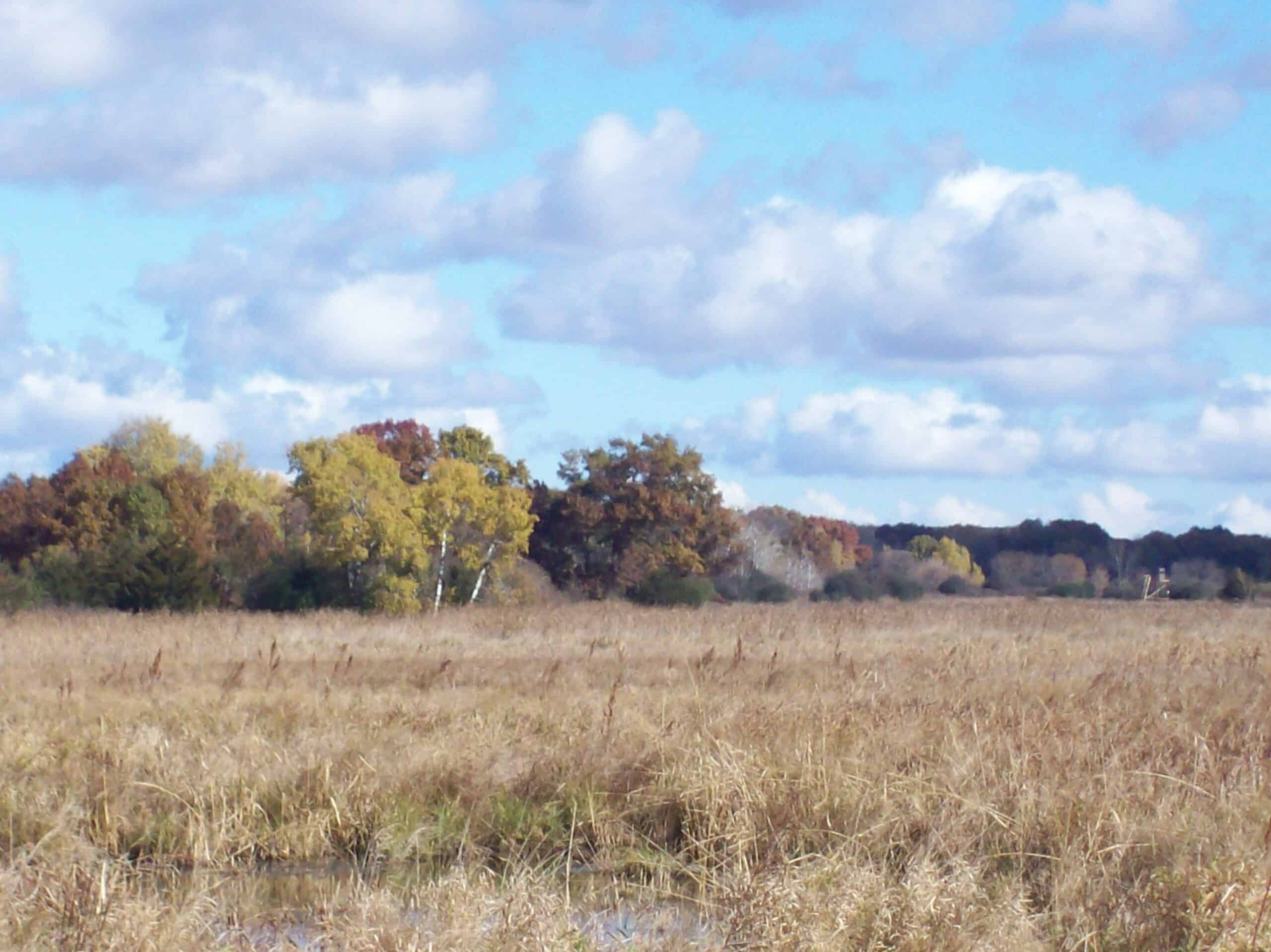 40 Acres of Trophy Whitetail Hunting