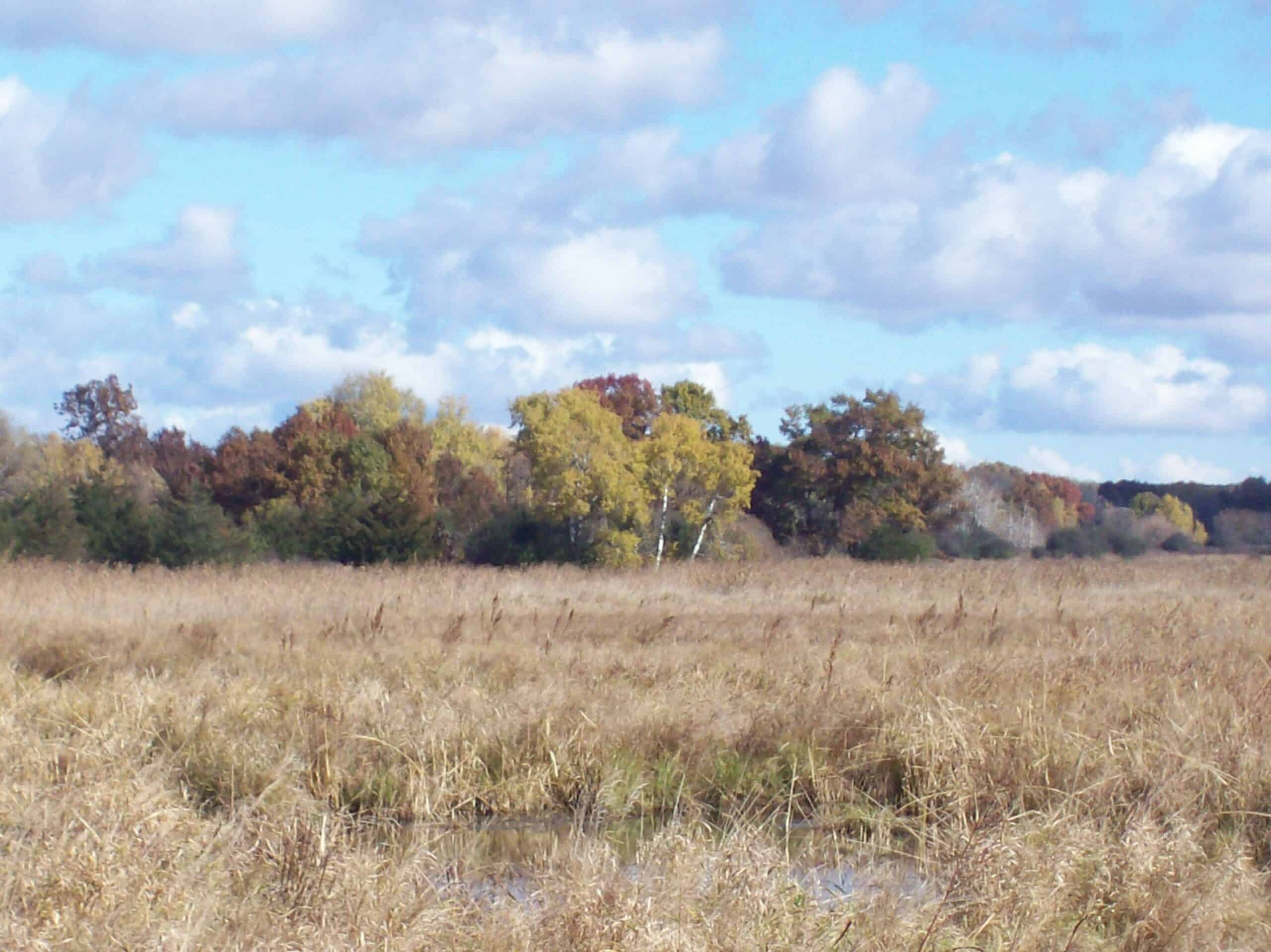 40 Acres of Trophy Whitetail Hunting