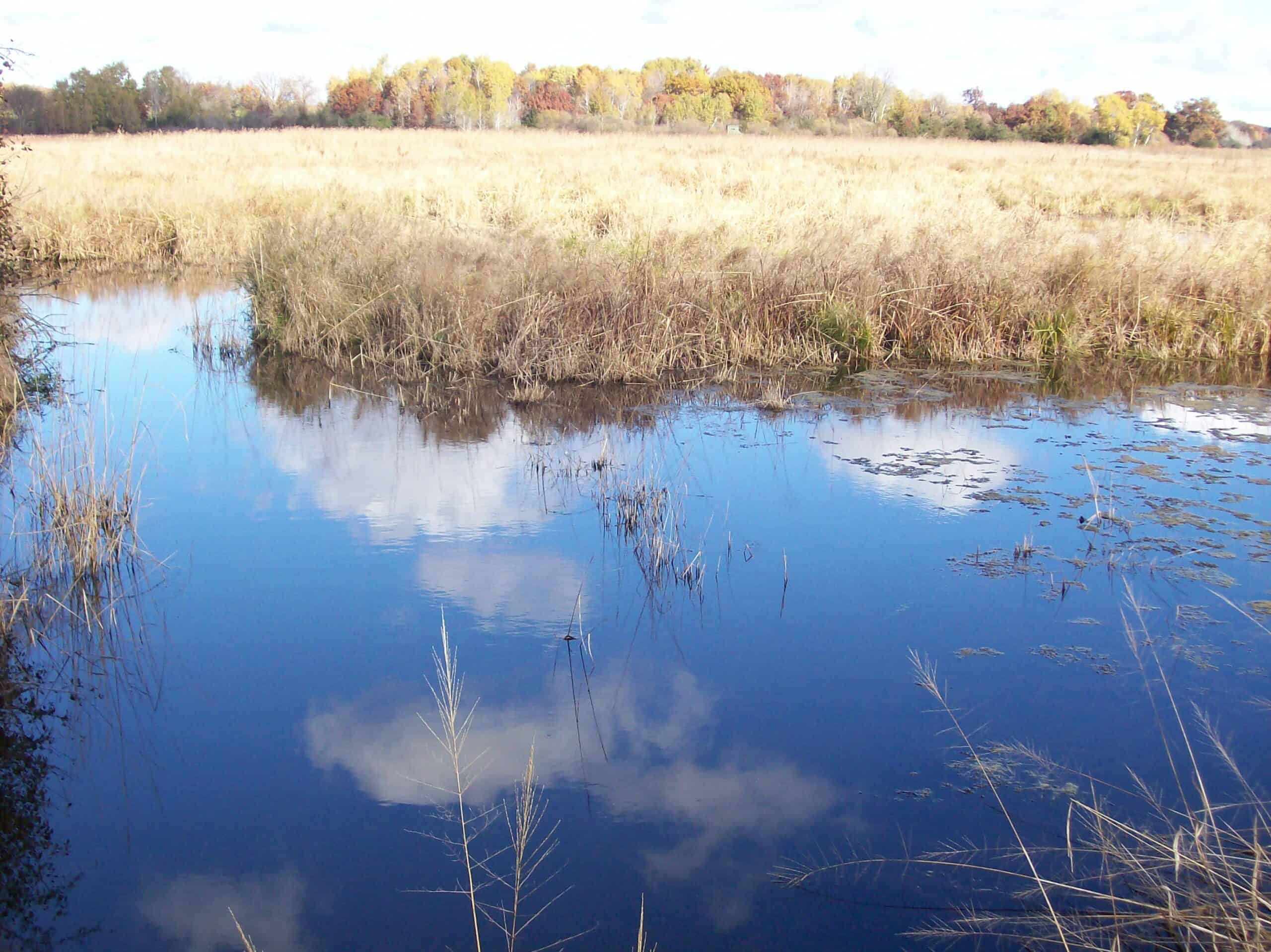 40 Acres of Trophy Whitetail Hunting