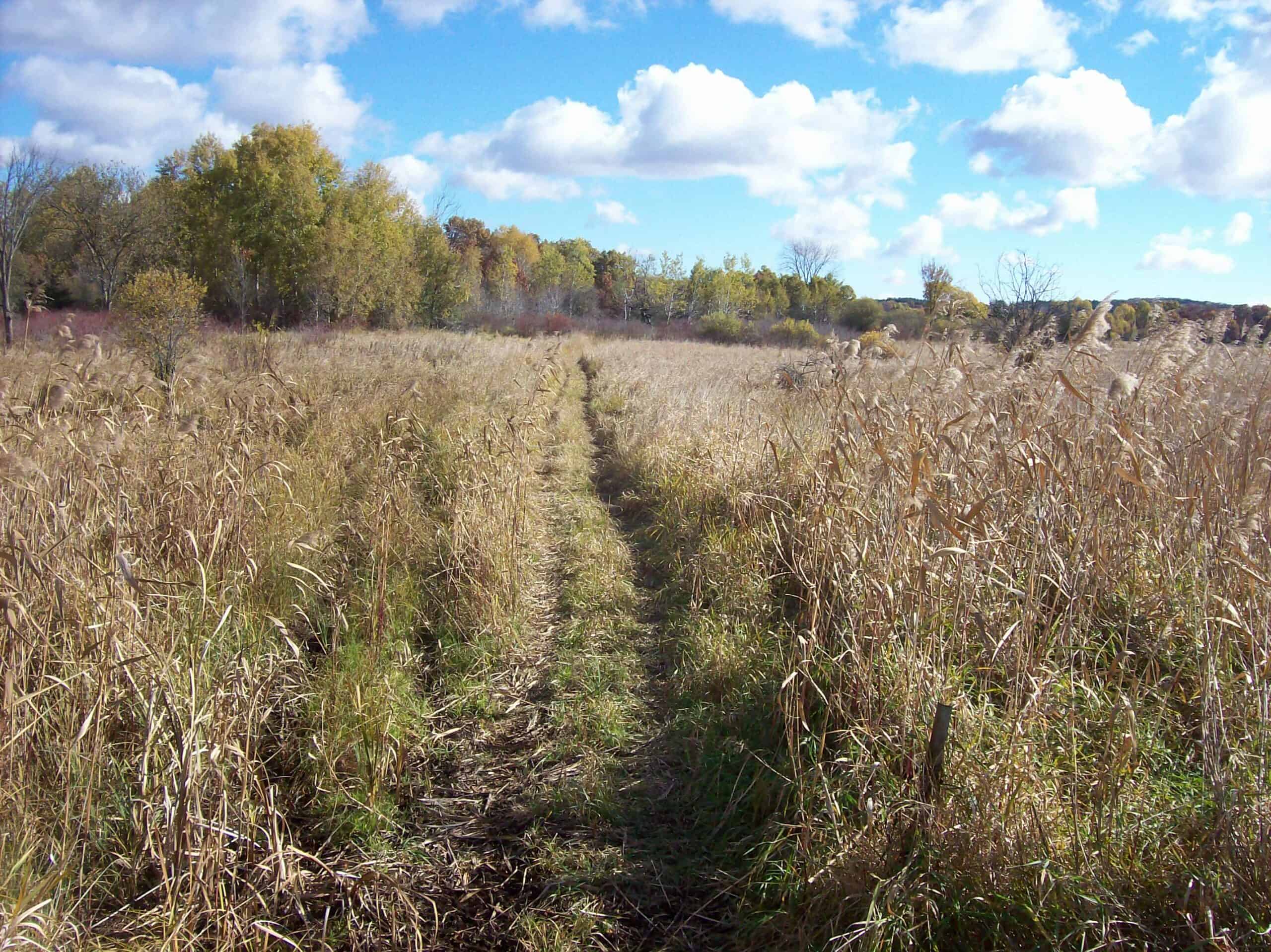 40 Acres of Trophy Whitetail Hunting