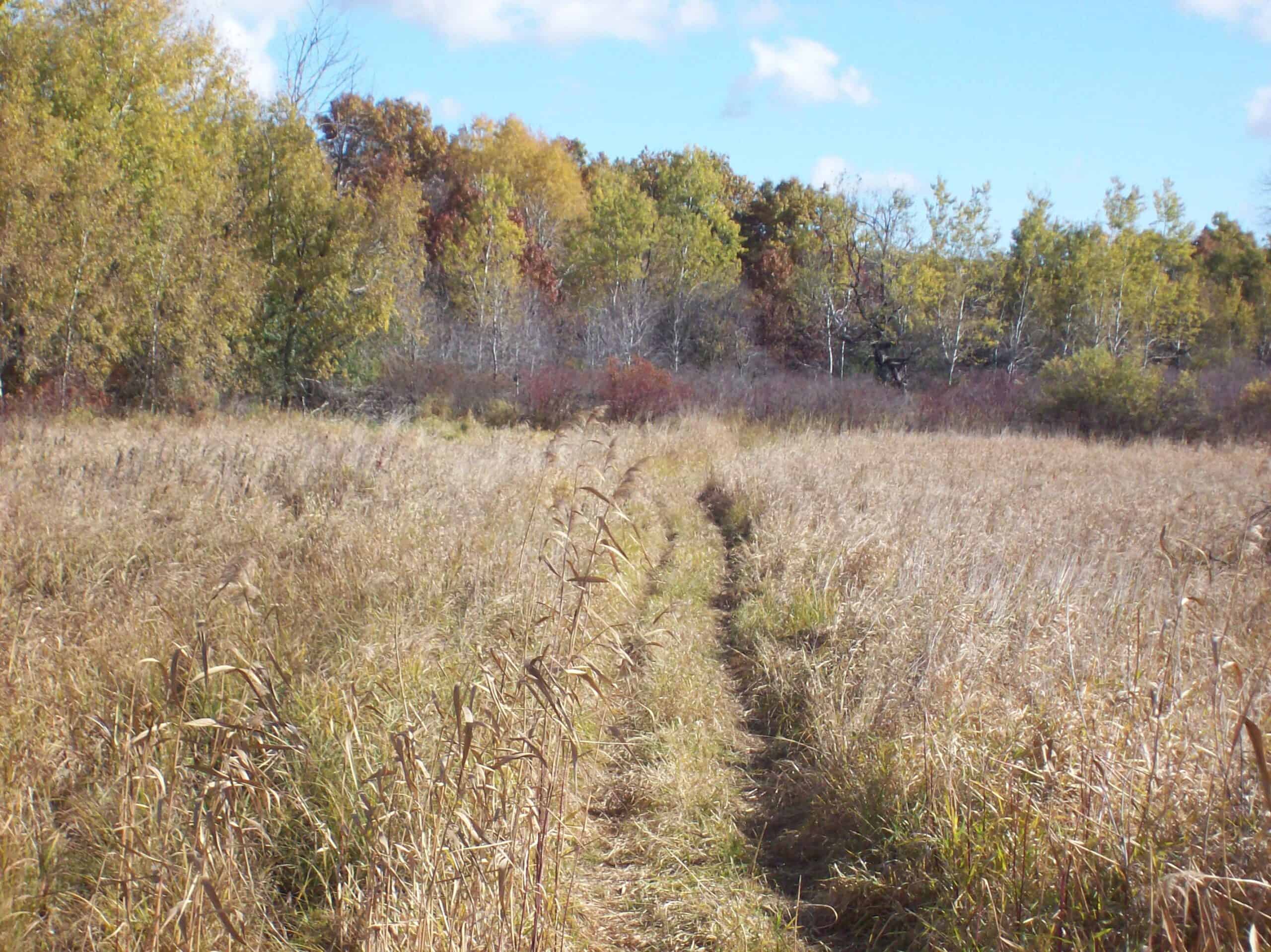40 Acres of Trophy Whitetail Hunting