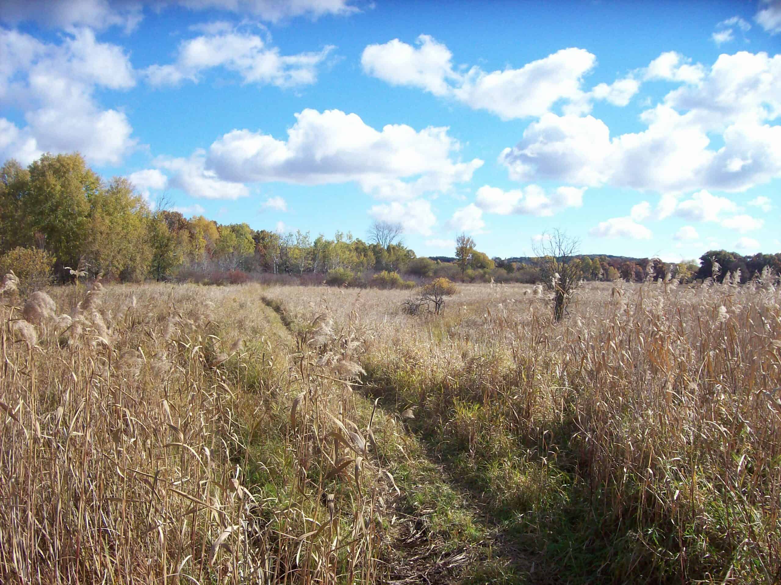 40 Acres of Trophy Whitetail Hunting