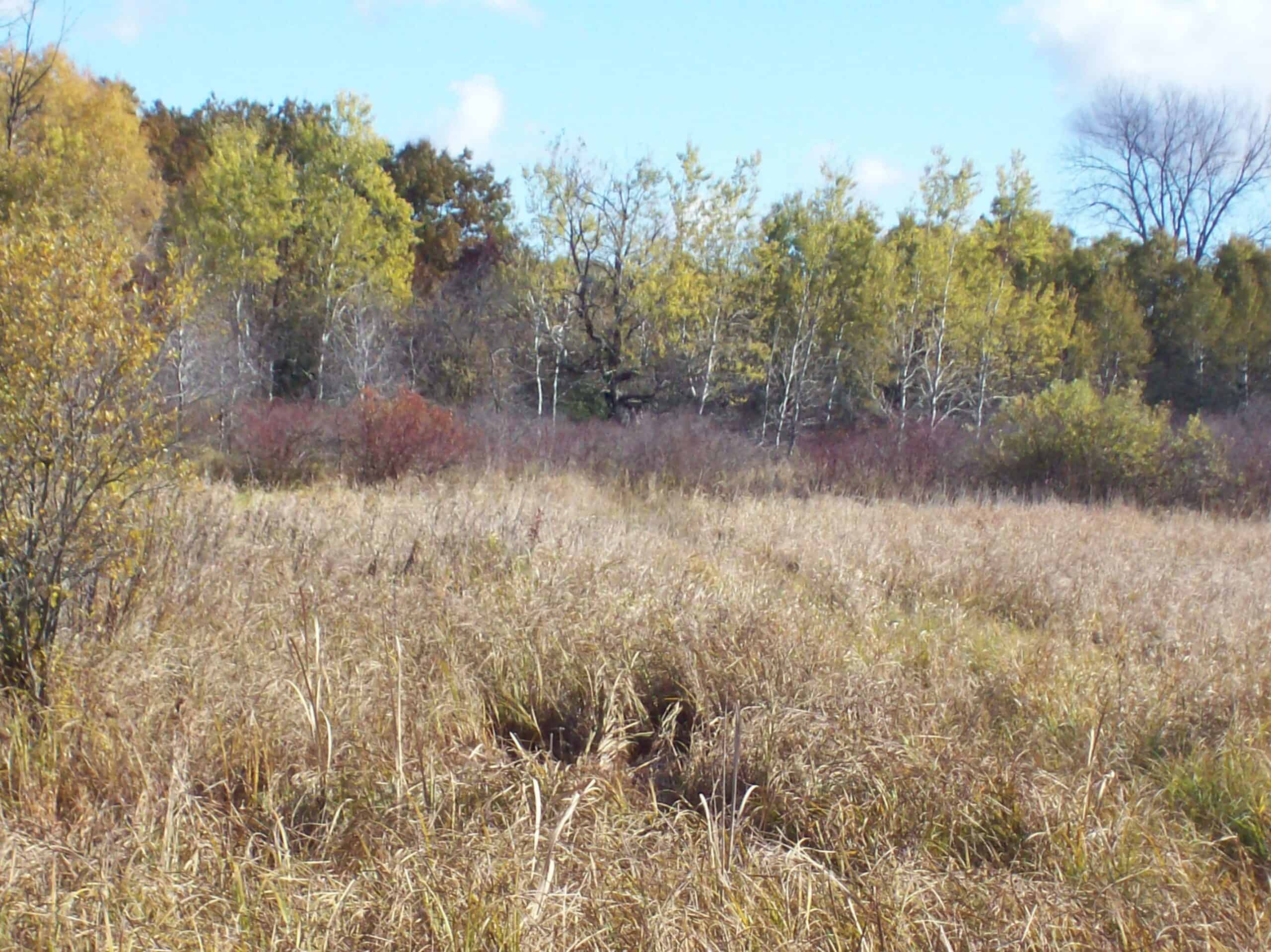 40 Acres of Trophy Whitetail Hunting