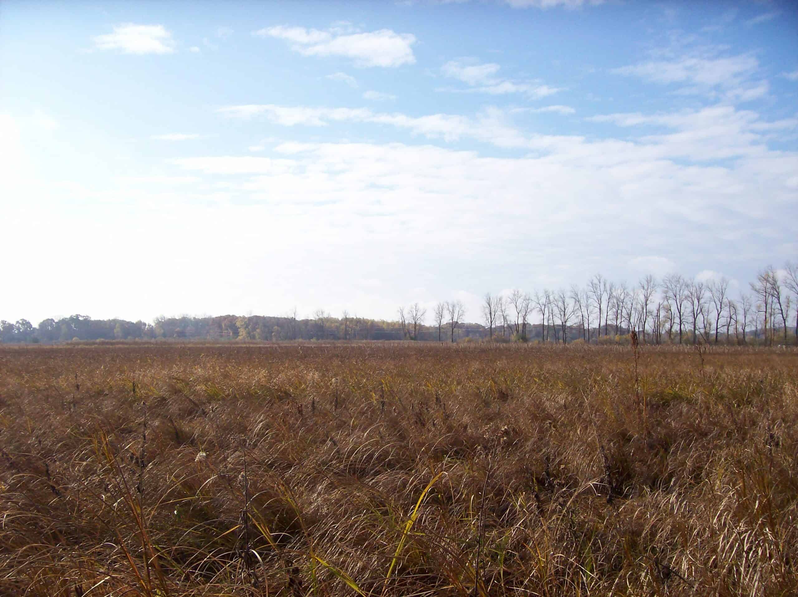 40 Acres of Trophy Whitetail Hunting