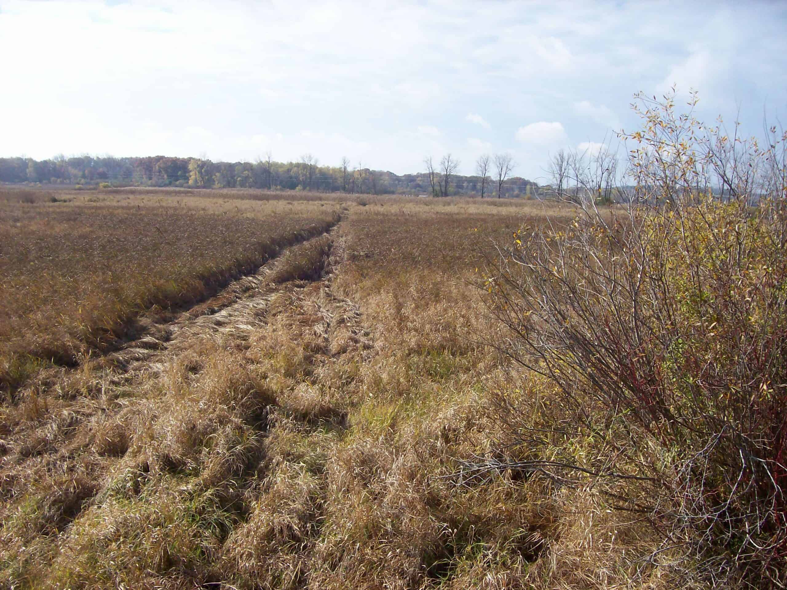 40 Acres of Trophy Whitetail Hunting