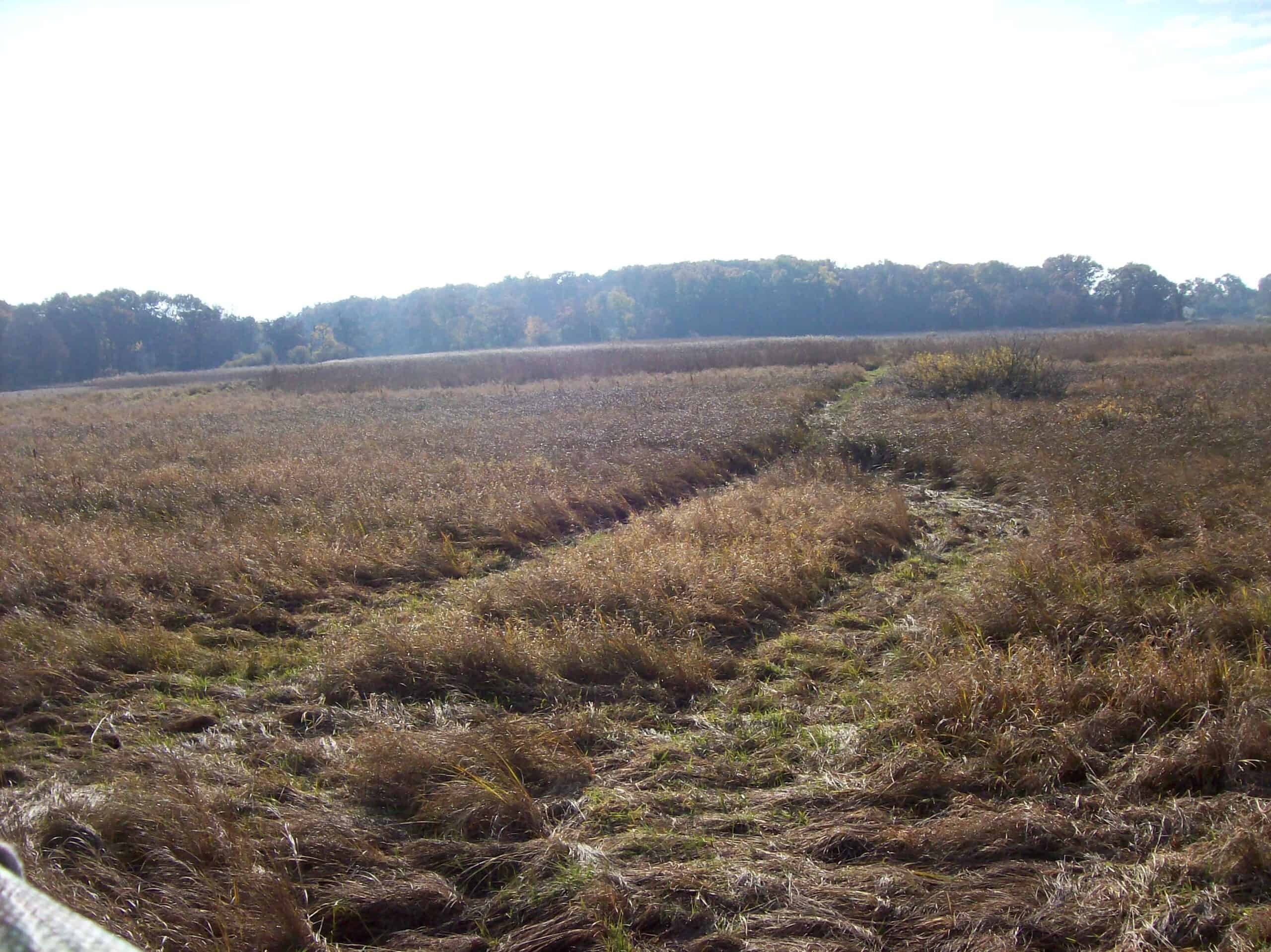 40 Acres of Trophy Whitetail Hunting