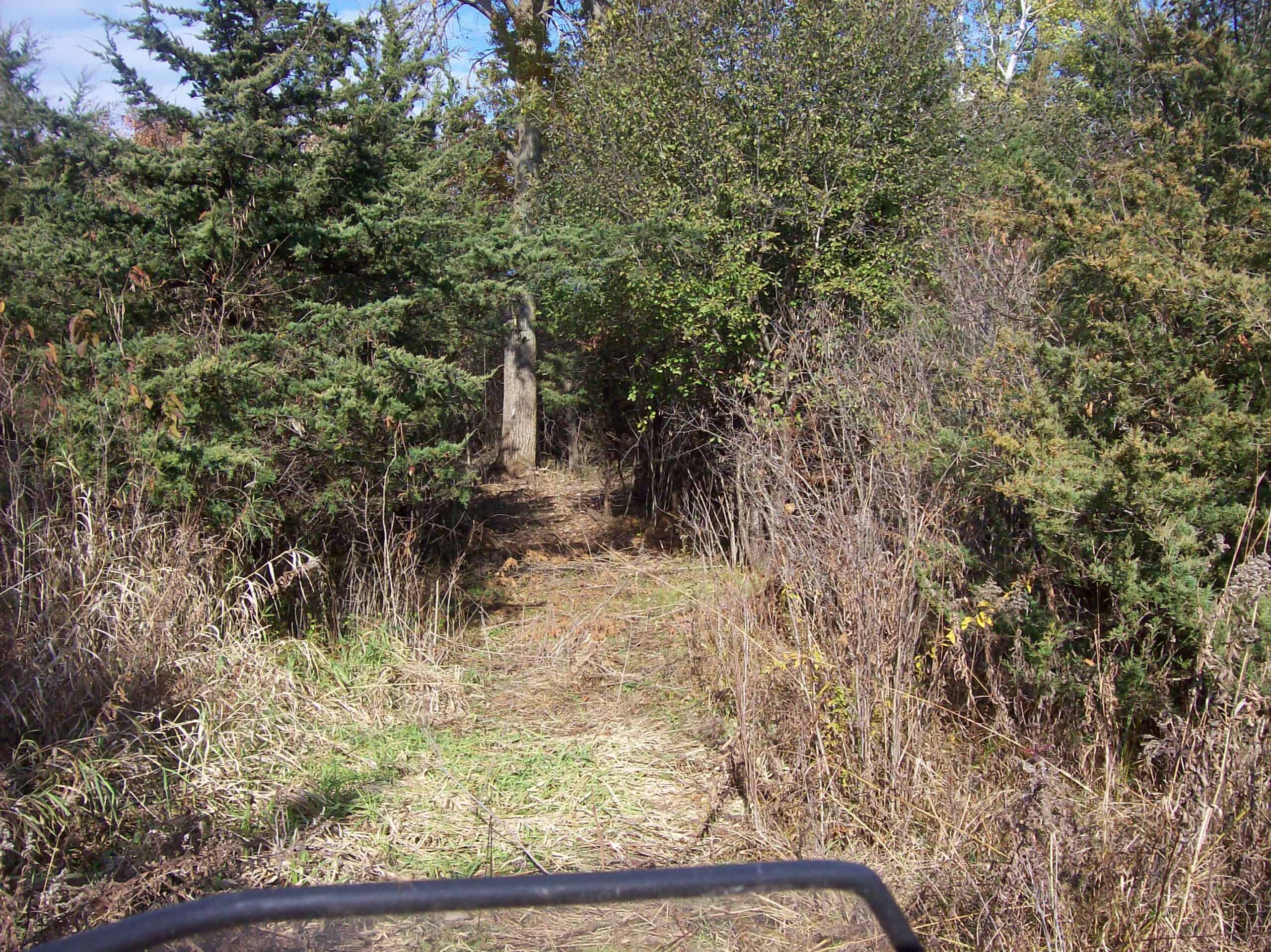 40 Acres of Trophy Whitetail Hunting
