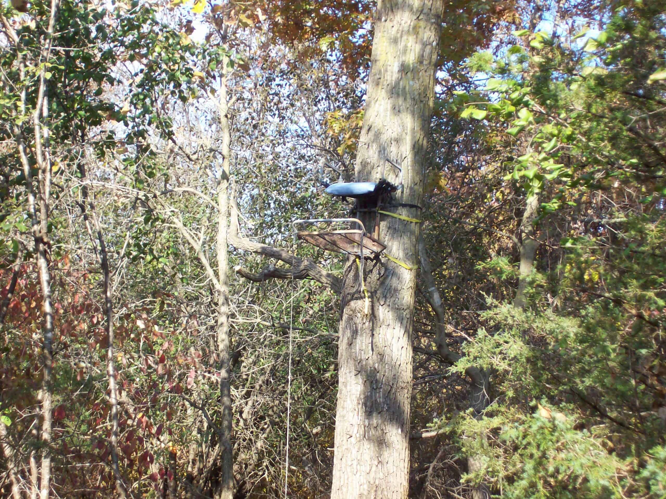 40 Acres of Trophy Whitetail Hunting