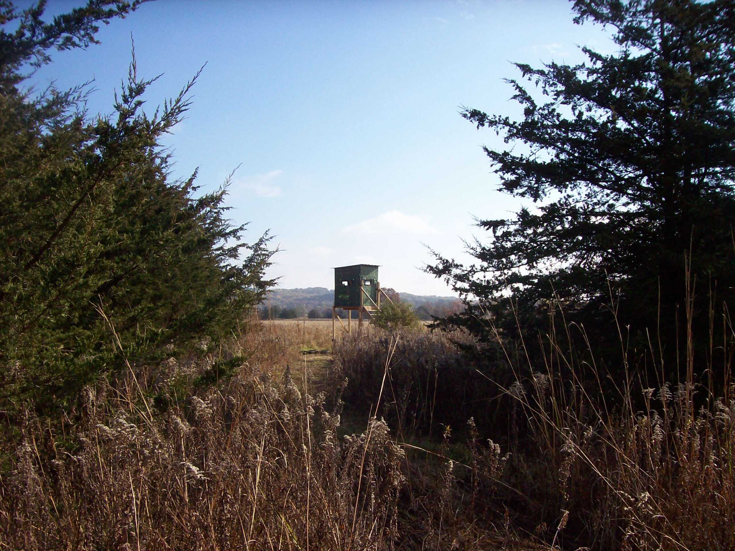40 Acres of Trophy Whitetail Hunting