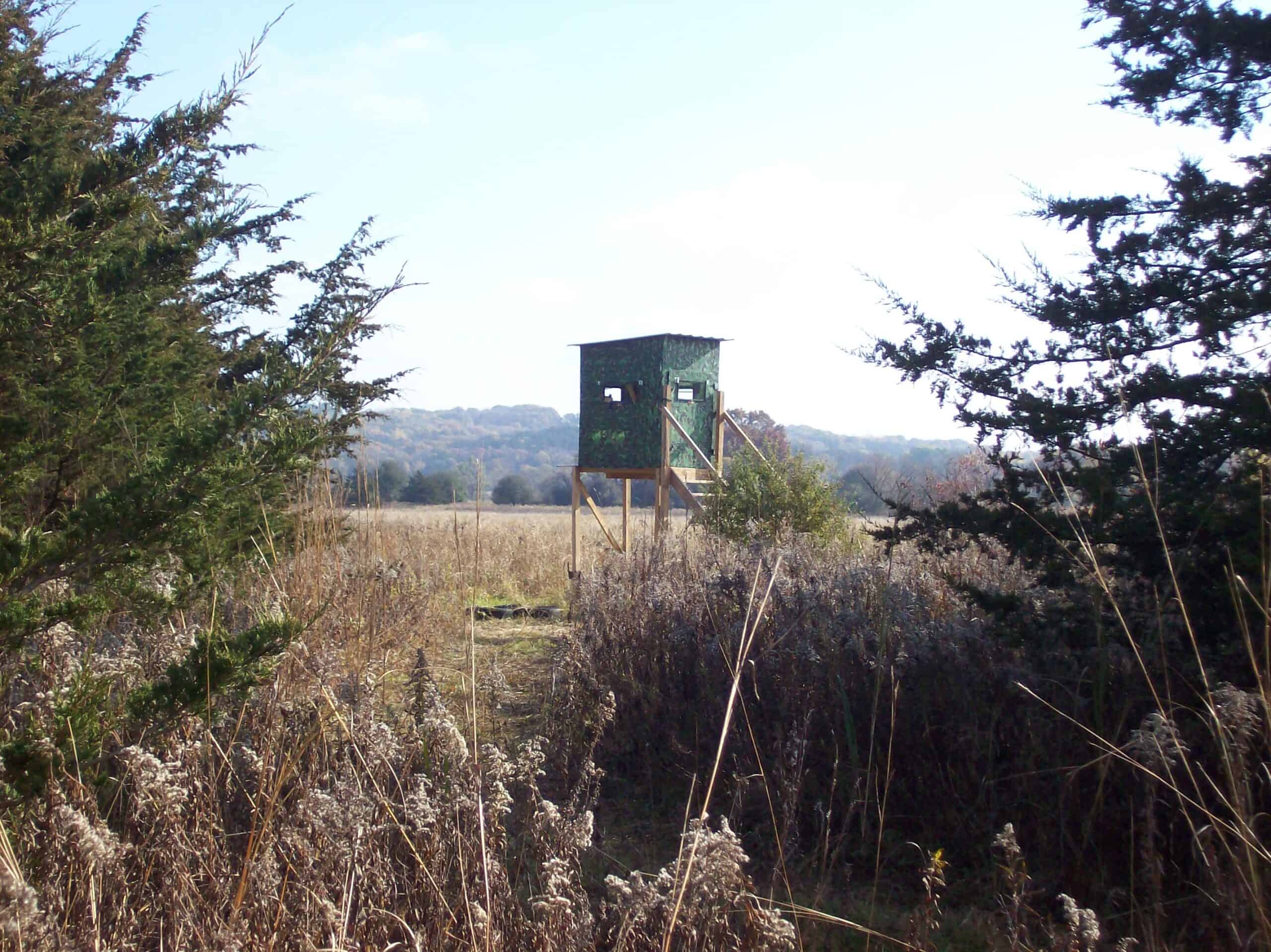 40 Acres of Trophy Whitetail Hunting