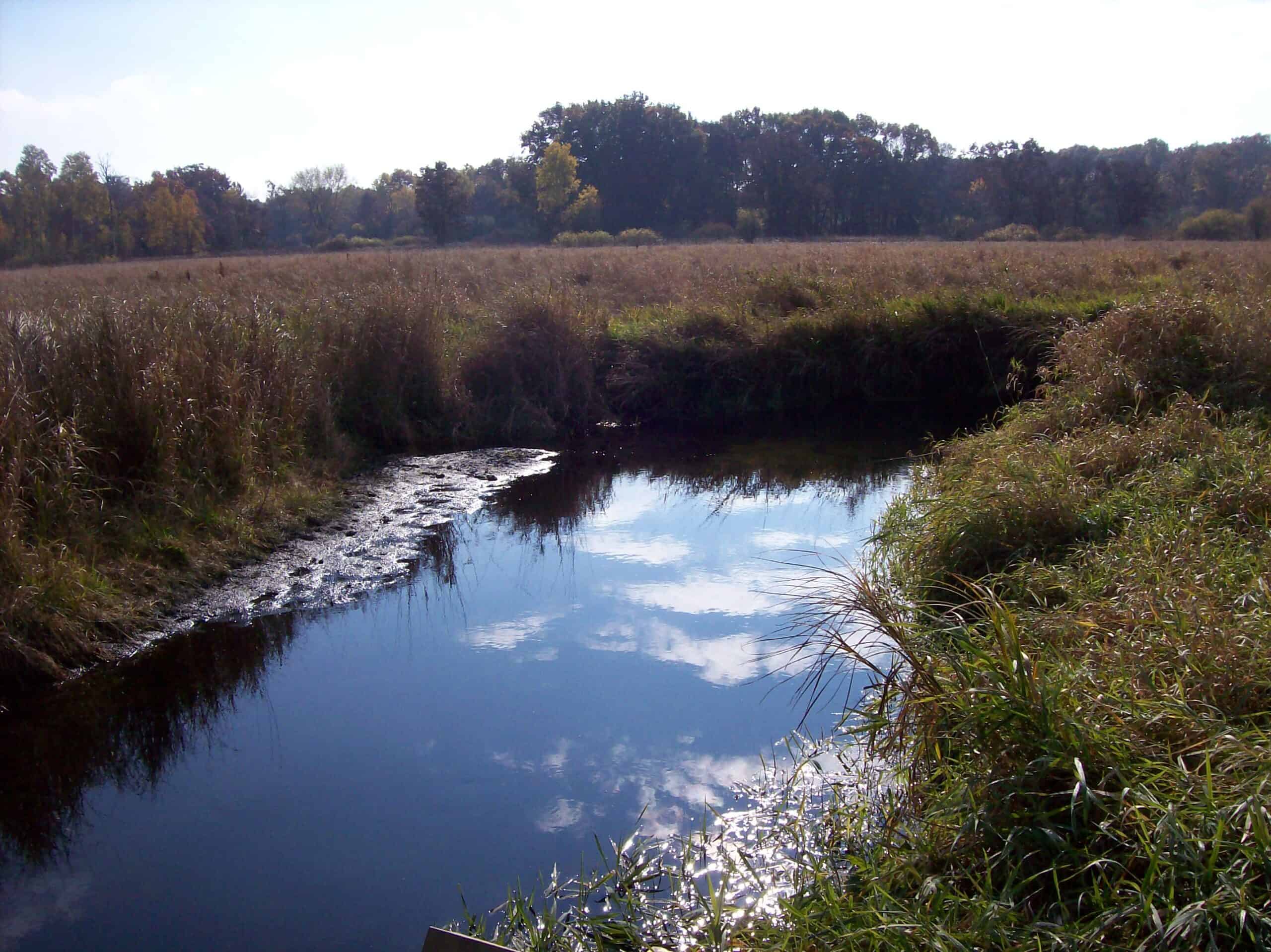 40 Acres of Trophy Whitetail Hunting