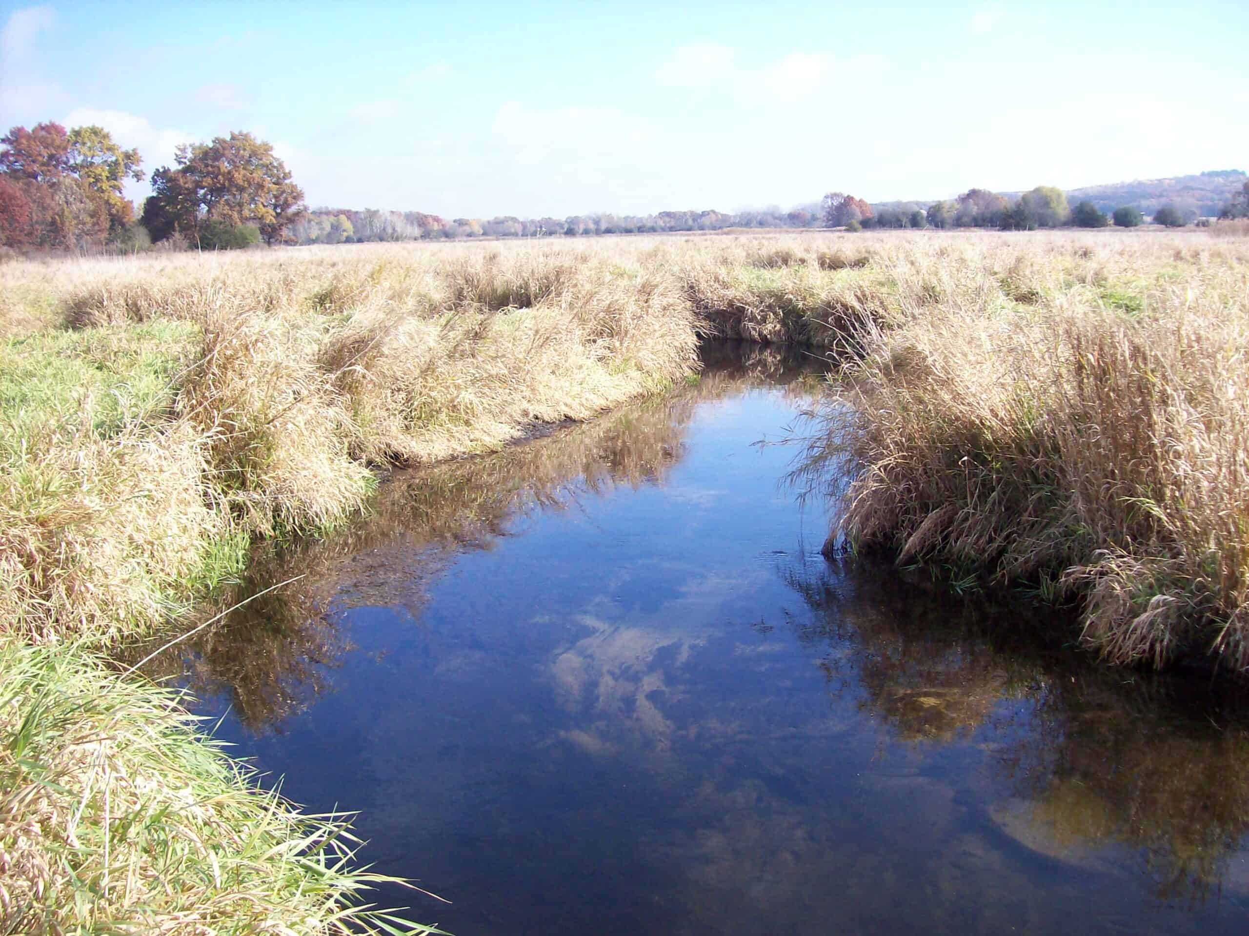 40 Acres of Trophy Whitetail Hunting