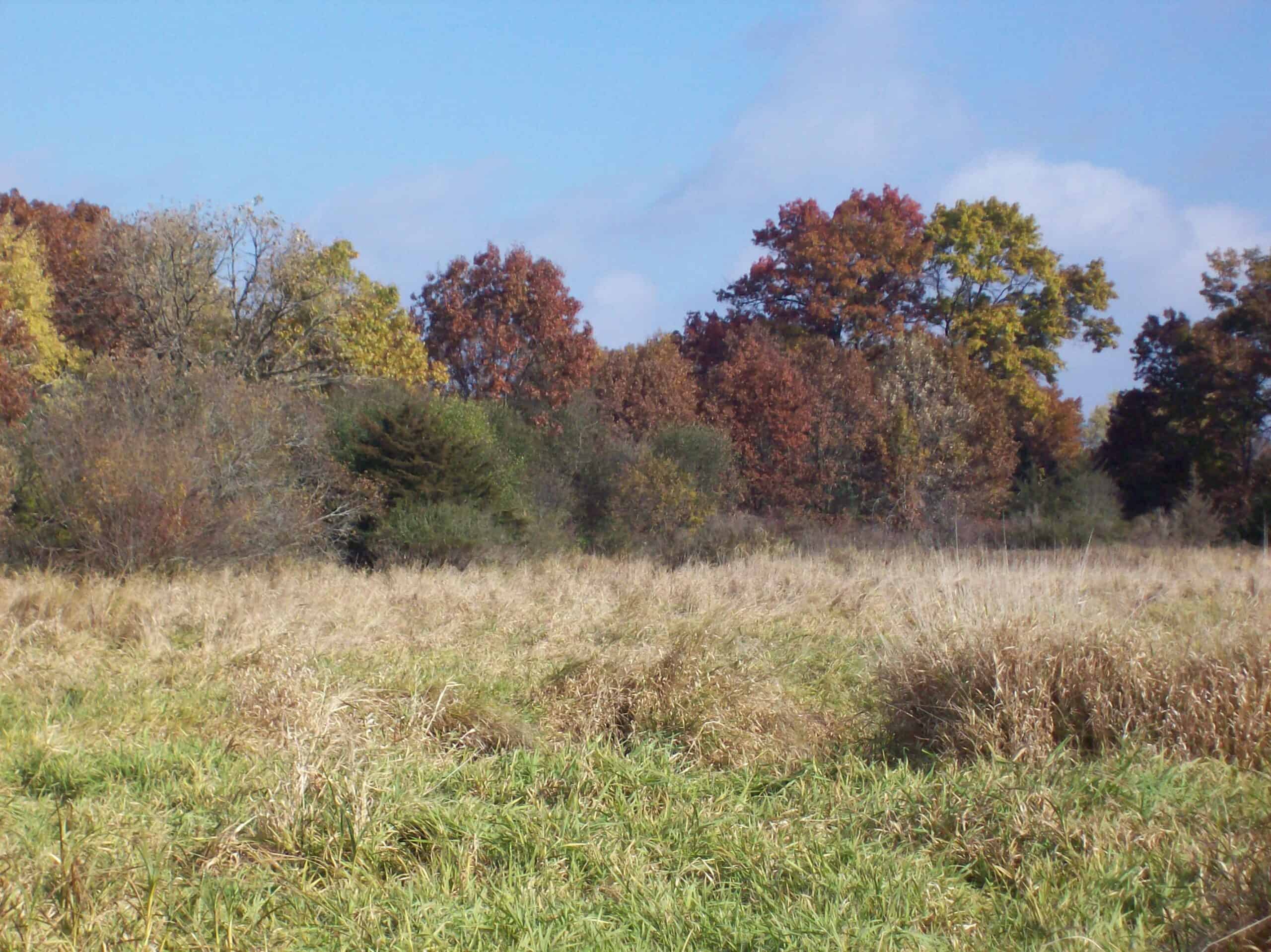 40 Acres of Trophy Whitetail Hunting