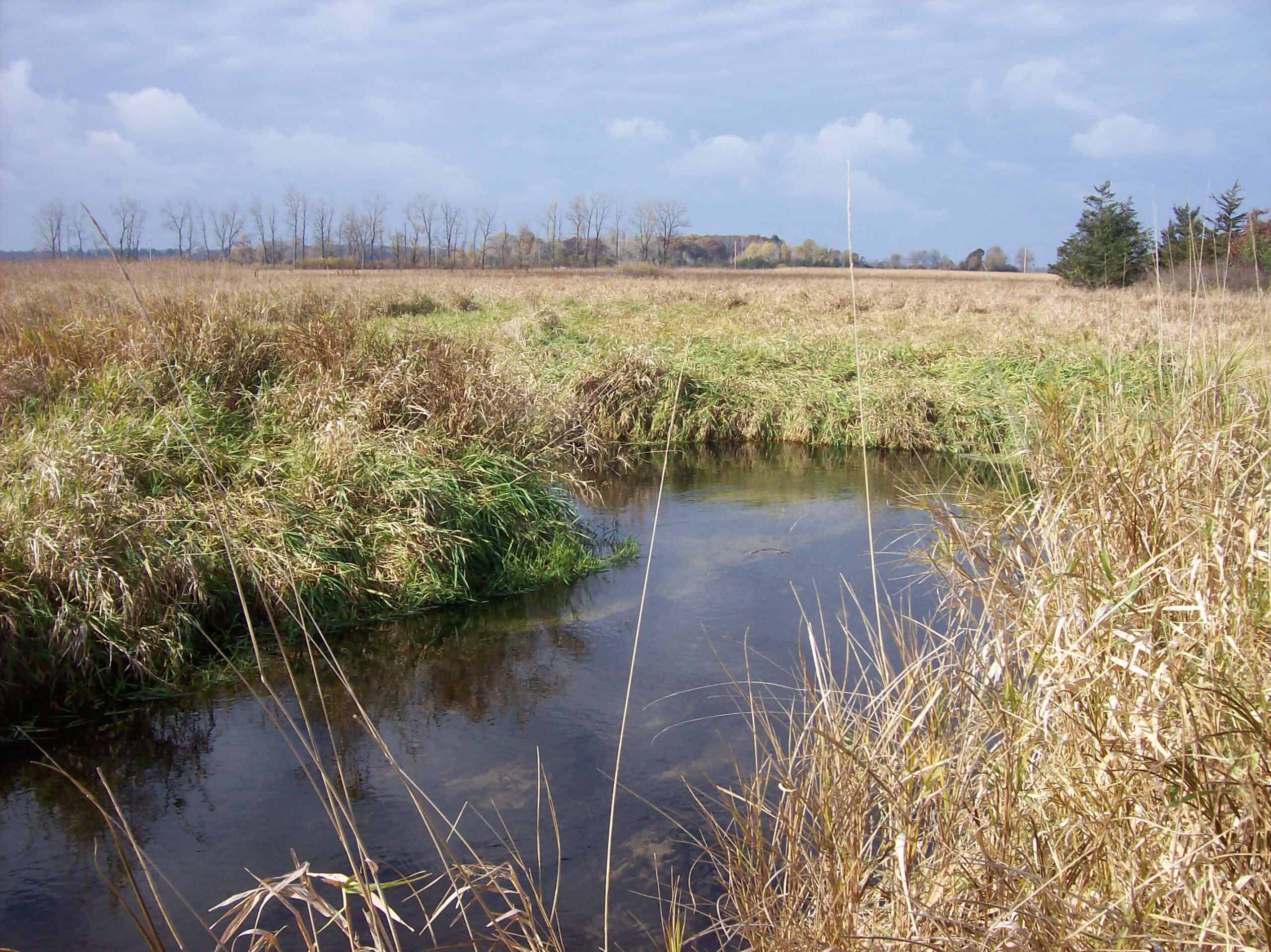 40 Acres of Trophy Whitetail Hunting