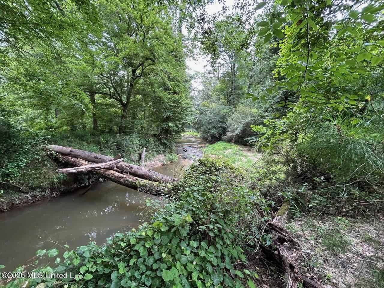 113± Acres for Sale in Osyka, MS on Tickfaw River