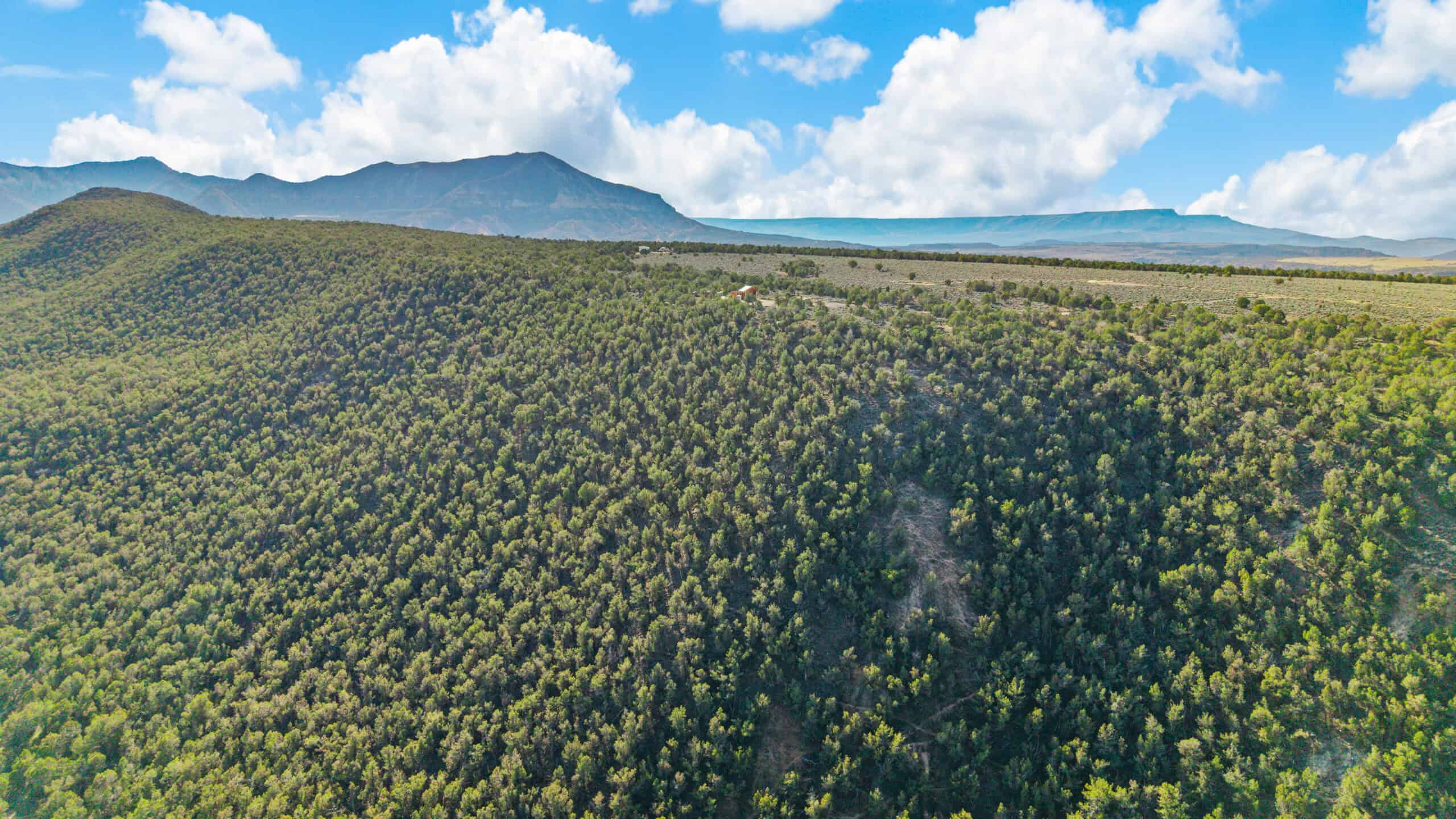 Off-Grid Cabin on Acreage For Sale in De Beque, CO