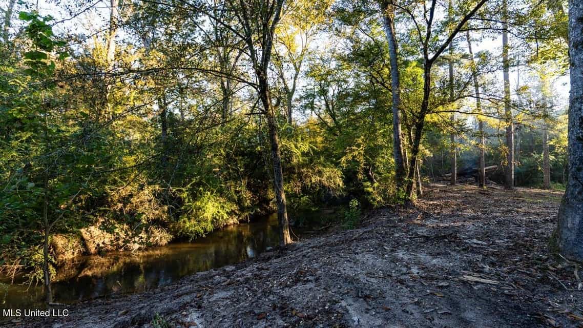 233-Acre Paradise on the Tickfaw River, Osyka, Amite County, MS
