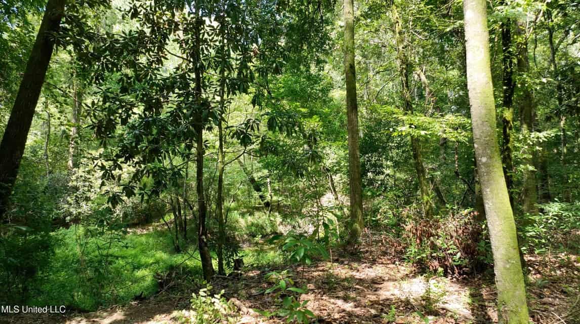 108+- Acres on the Bogue Chitto River Summit, Mississippi