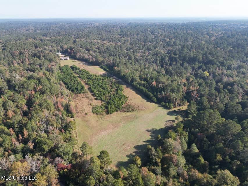 Hunting Land for Sale in Amite County, Mississippi
