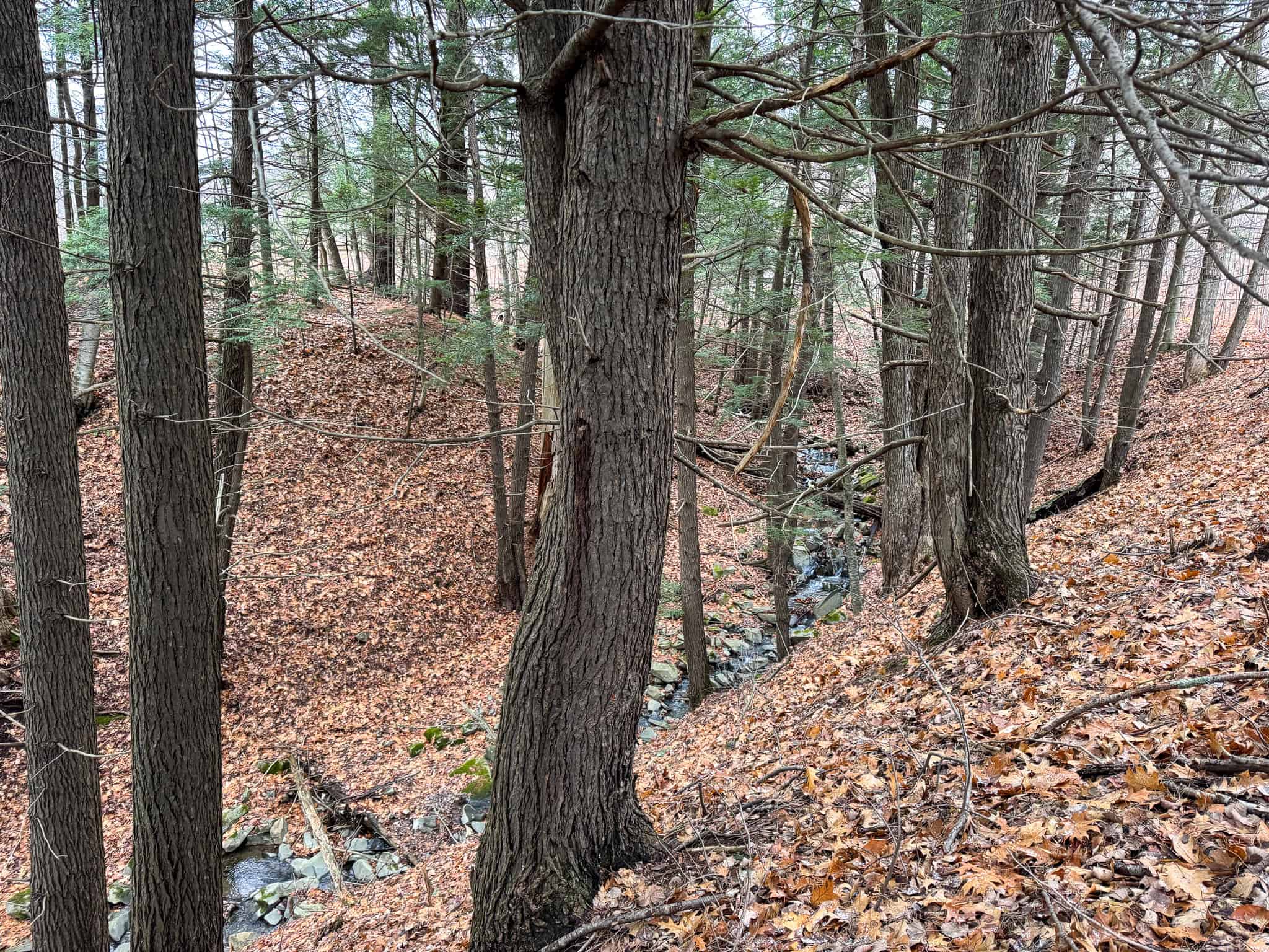 82 Acres with a Mountain View – Strong, Maine