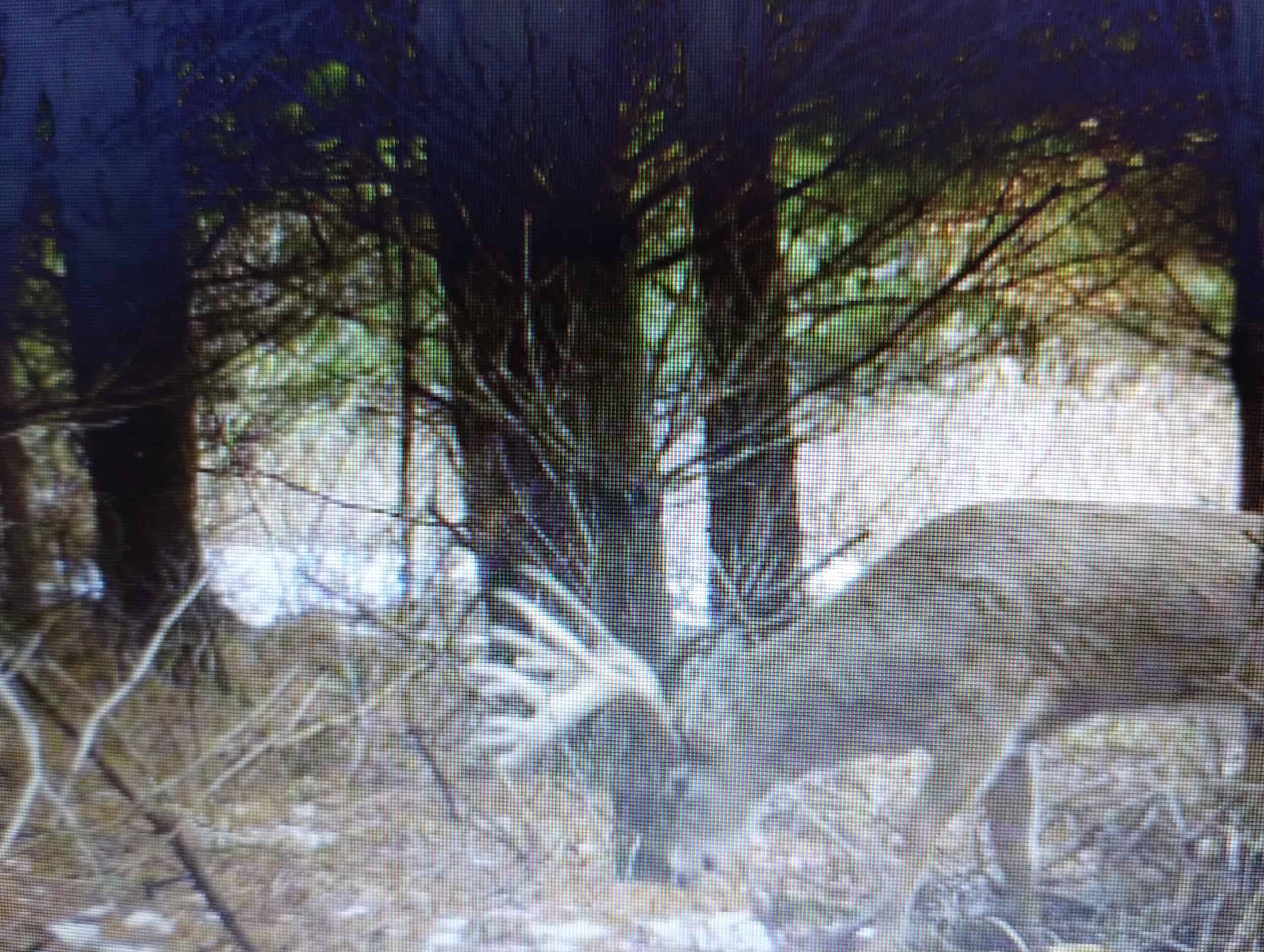 Windy Ridge – Conservation Homestead – 187 ± Acres in Monroe County’s Driftless Area of Wisconsin