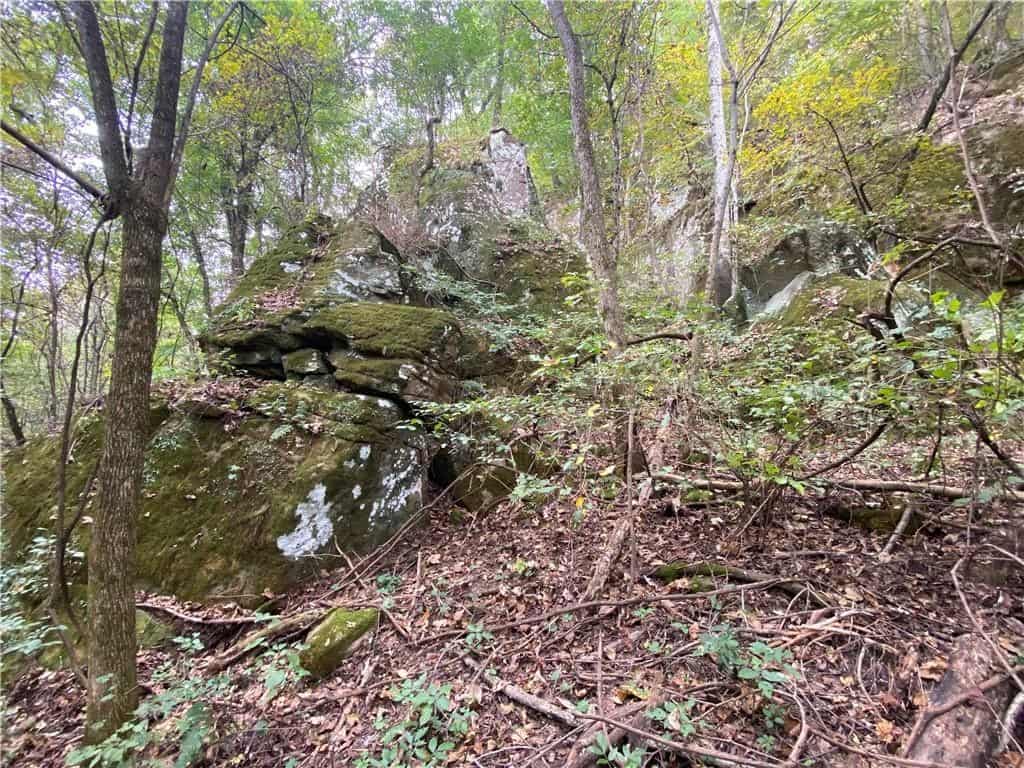39.75 Newton County Hunting Land/Timber Property For Sale Low Gap