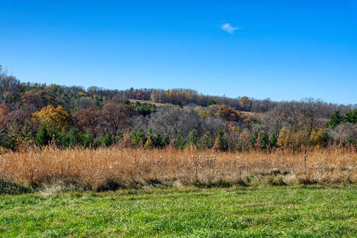Windy Ridge – Conservation Homestead – 187 ± Acres in Monroe County’s Driftless Area of Wisconsin