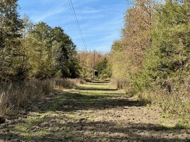 158.8 Acres Creek Frontage Clay County MS