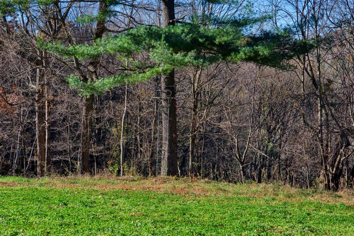 Windy Ridge – Conservation Homestead – 187 ± Acres in Monroe County’s Driftless Area of Wisconsin