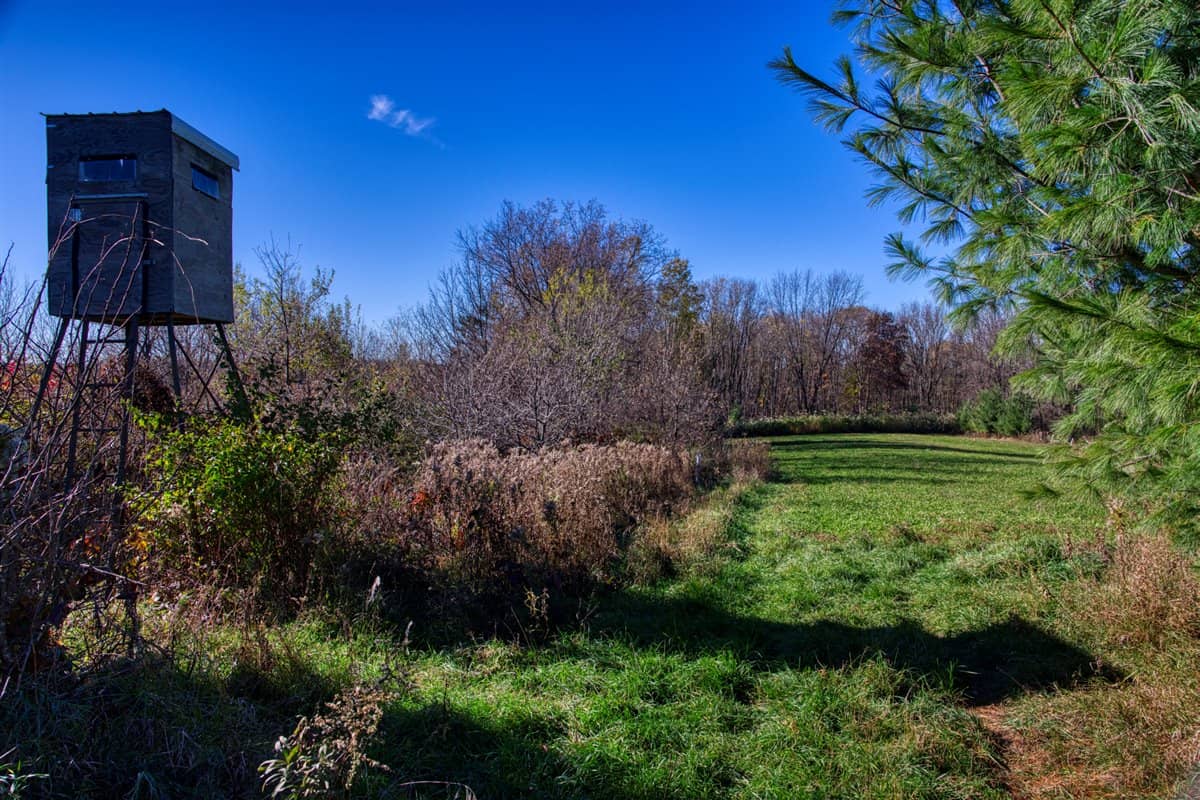 Windy Ridge – Conservation Homestead – 187 ± Acres in Monroe County’s Driftless Area of Wisconsin