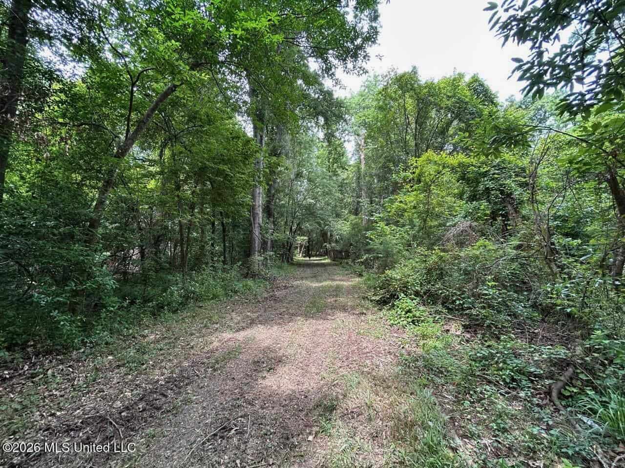 113± Acres for Sale in Osyka, MS on Tickfaw River