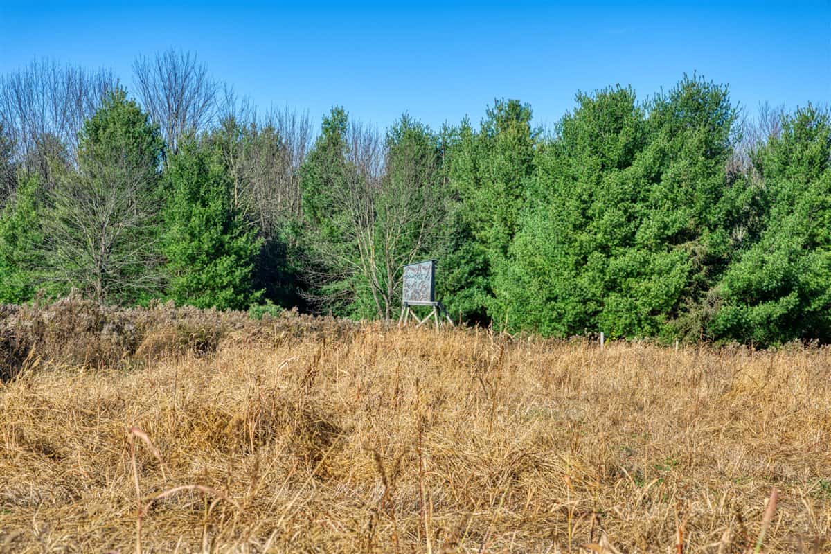 Windy Ridge – Conservation Homestead – 187 ± Acres in Monroe County’s Driftless Area of Wisconsin
