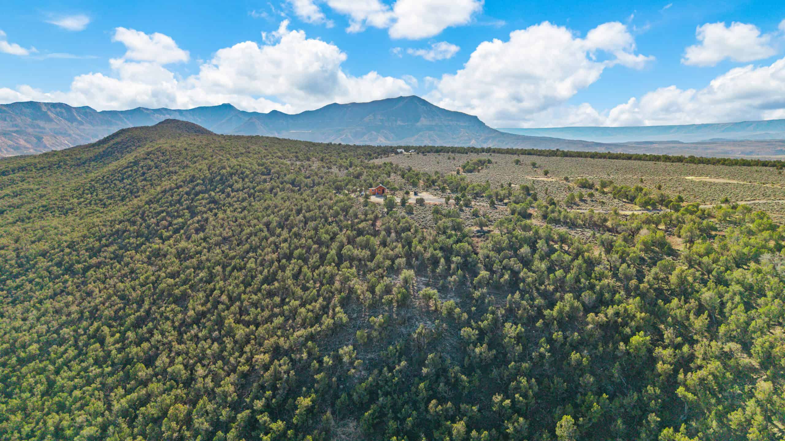 Off-Grid Cabin on Acreage For Sale in De Beque, CO