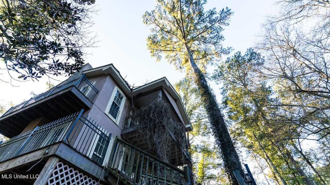 233-Acre Paradise on the Tickfaw River, Osyka, Amite County, MS