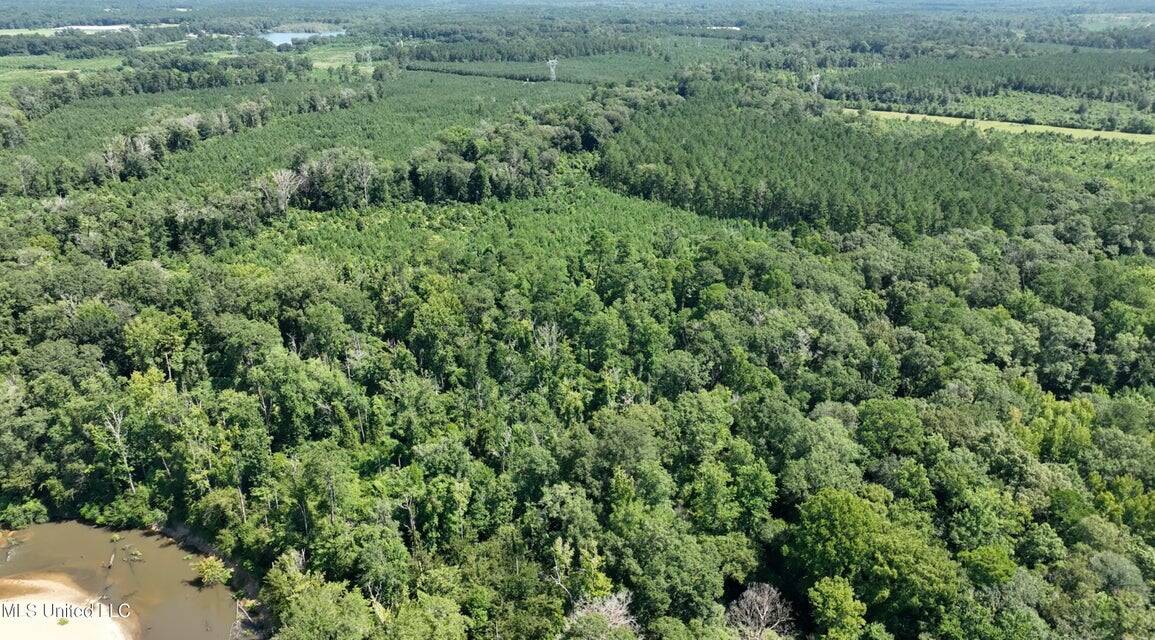 108+- Acres on the Bogue Chitto River Summit, Mississippi