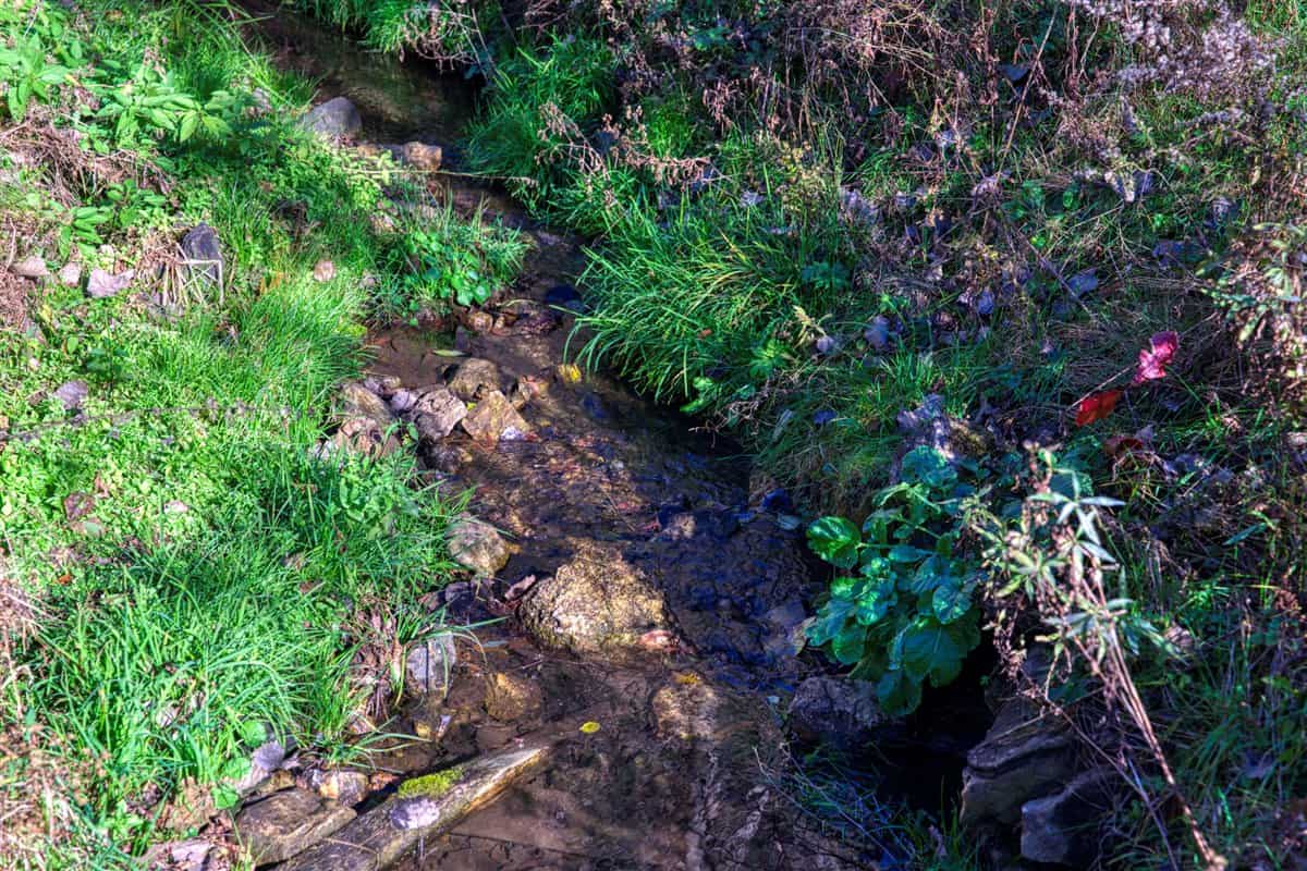 Windy Ridge – Conservation Homestead – 187 ± Acres in Monroe County’s Driftless Area of Wisconsin