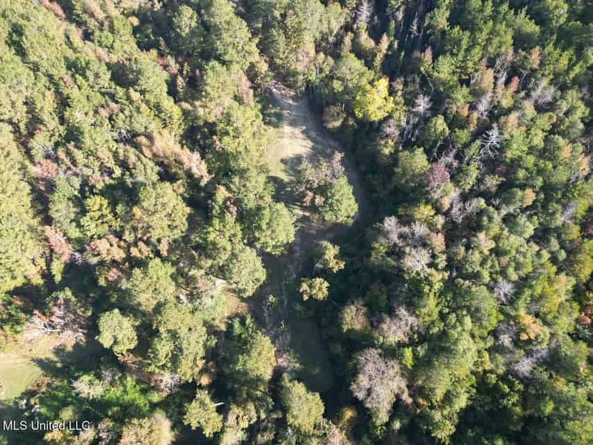 Hunting Land for Sale in Amite County, Mississippi