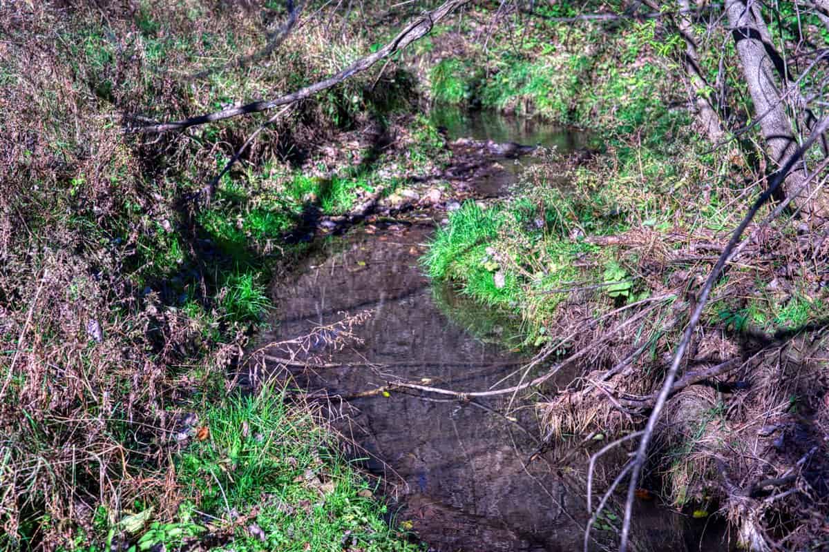 Windy Ridge – Conservation Homestead – 187 ± Acres in Monroe County’s Driftless Area of Wisconsin