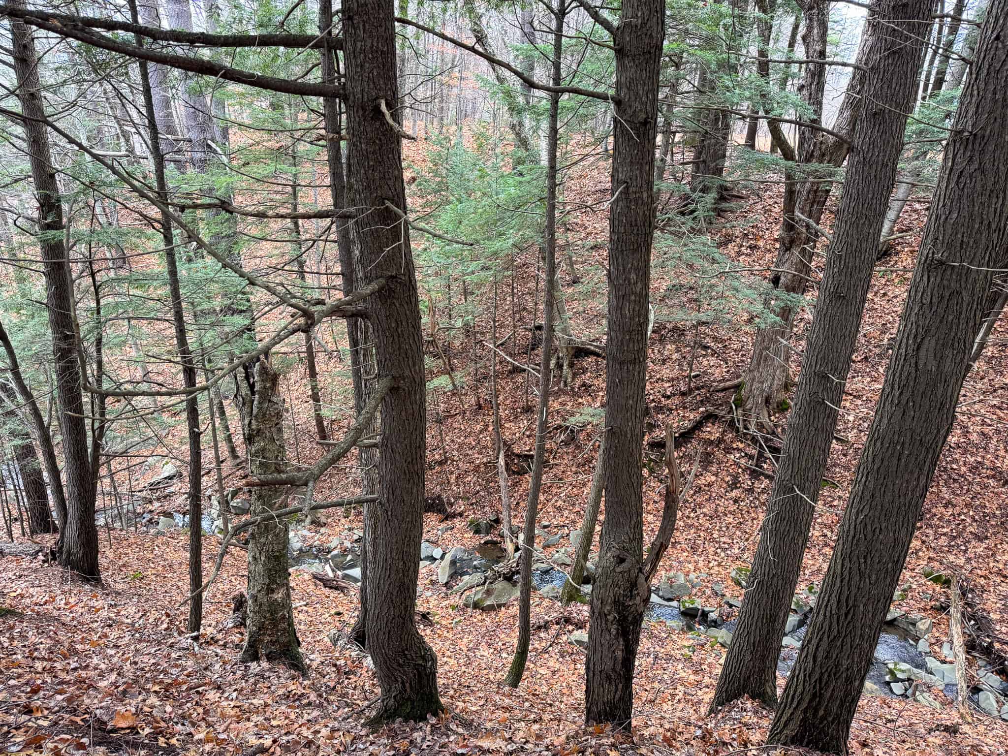 82 Acres with a Mountain View – Strong, Maine