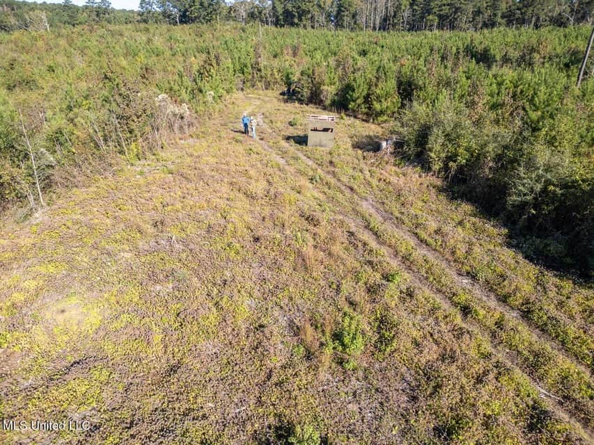113 Acres of Hunting Land in Liberty, Mississippi
