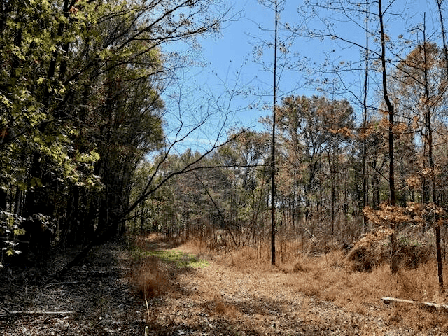 76 Acres For Sale Clay County MS