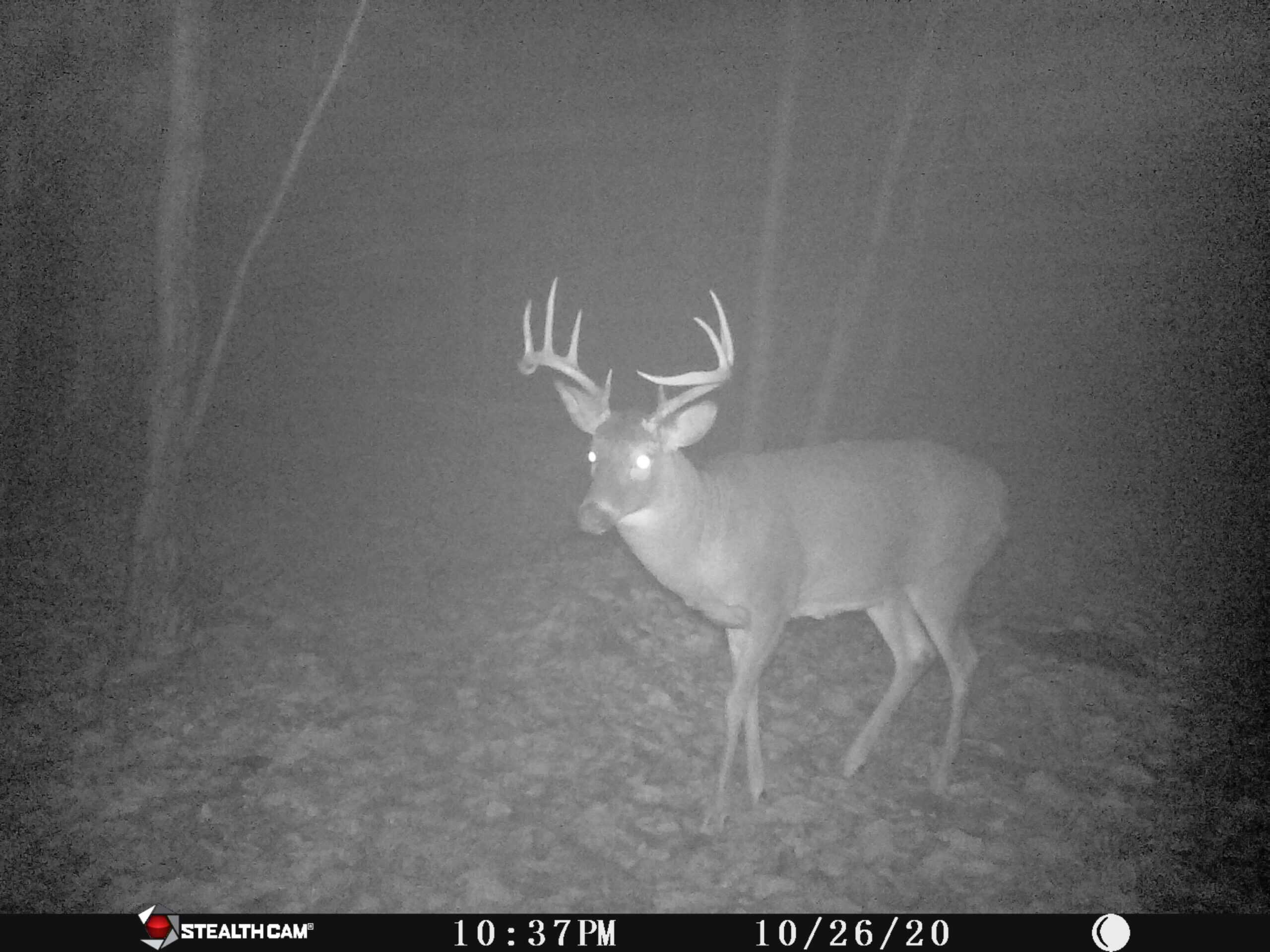 Catskills Hunting and Fishing Land For Sale in New York